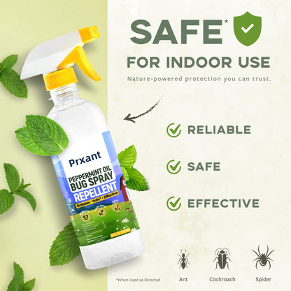 Peppermint Oil Bug Spray - 16oz